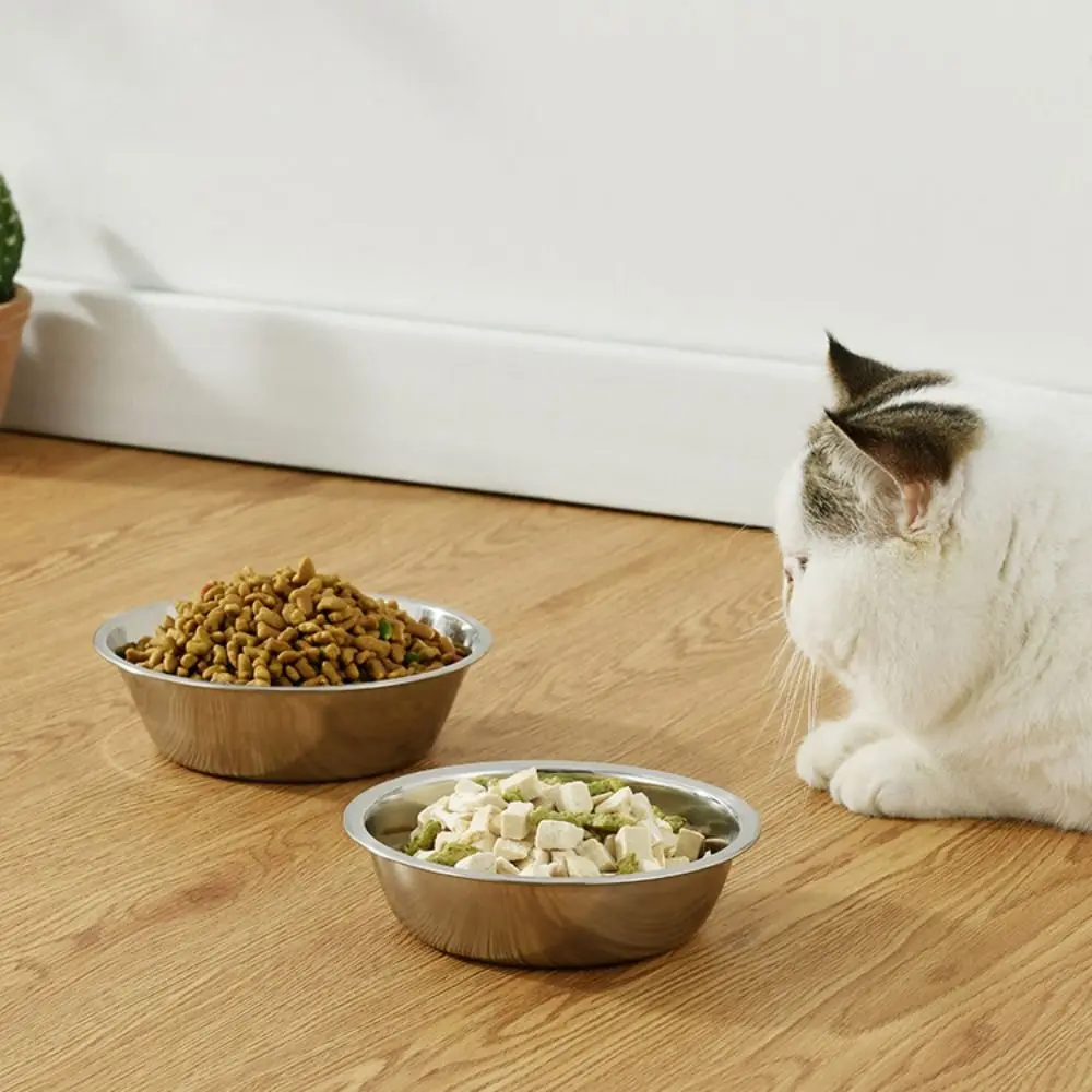 Durable Large Capacity Dog Bowl Non-rust Stainless Steel Cat Feeder Silver Pet Food Container Kitten - Image 2