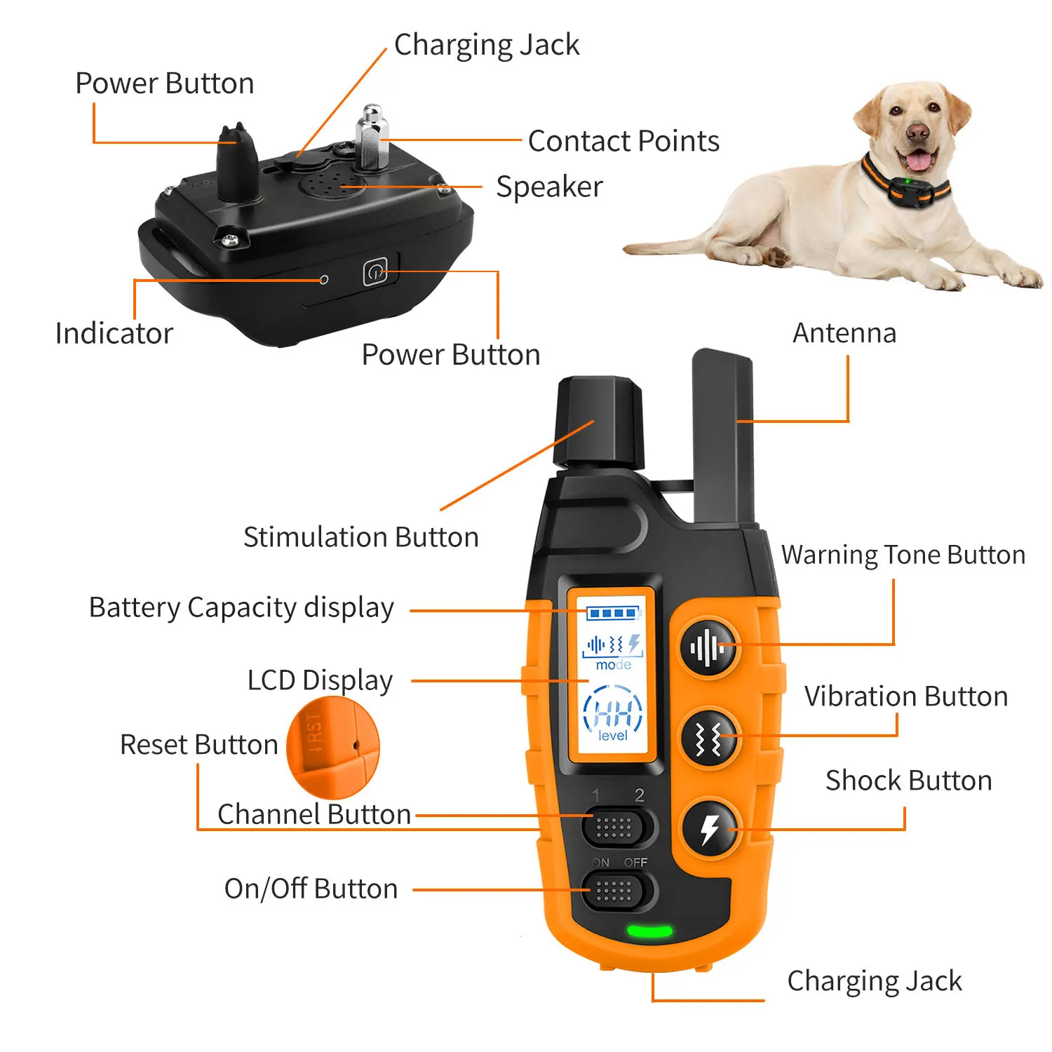 3300Ft Electric Dog Training Collar Remote Control Waterproof Pet BehaviorFor 5-120lbs Puppy With Shock Vibration - Image 6
